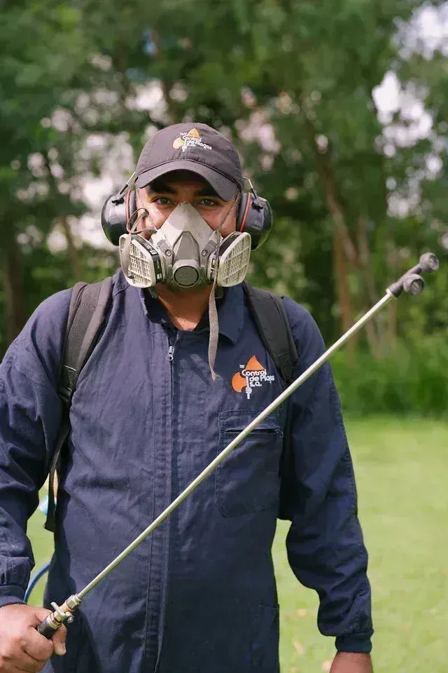 Pest Control Expert