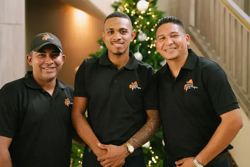 Equipo Profesional TNT
