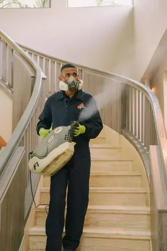 Professional Pest Control Service