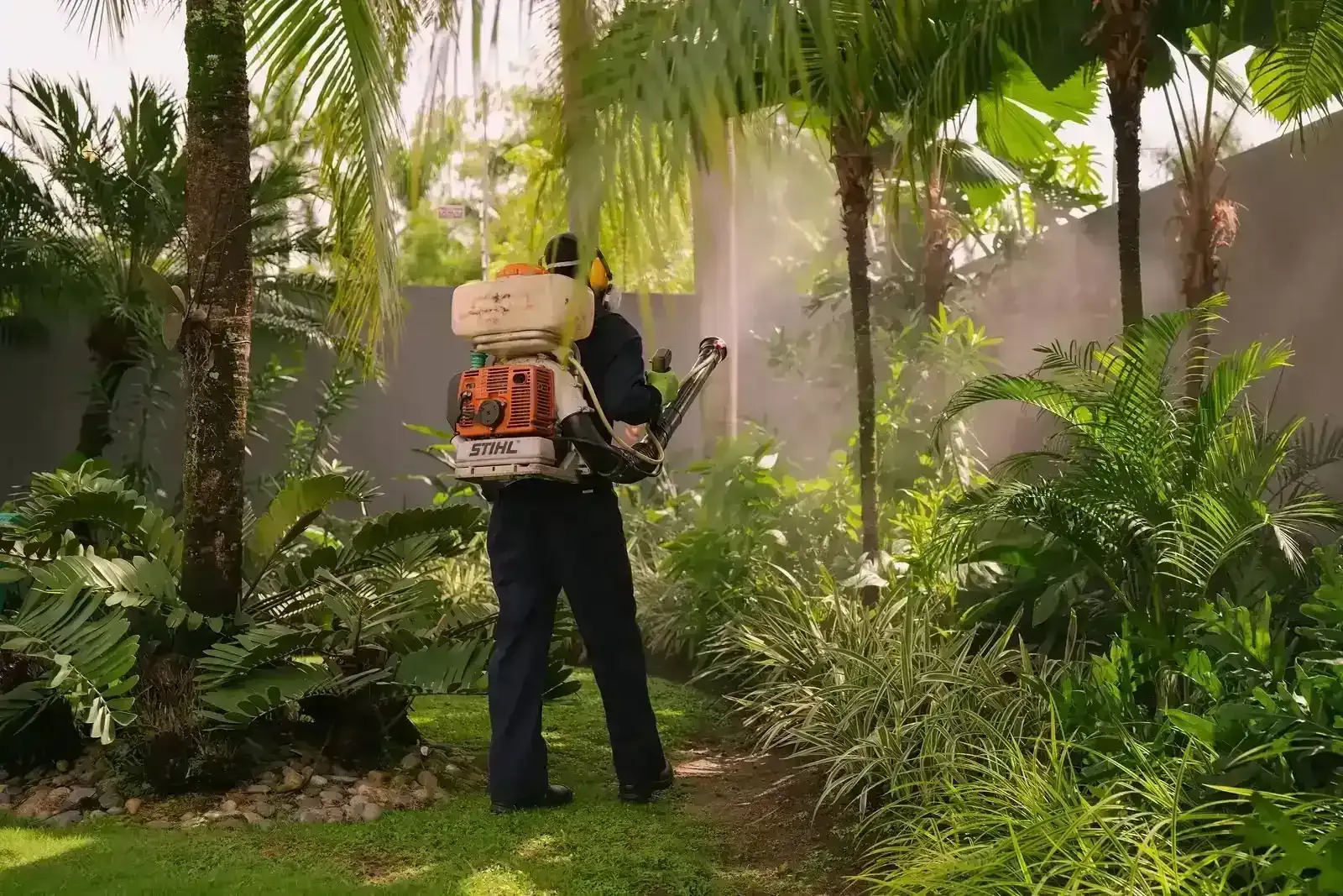 Pest Control Background