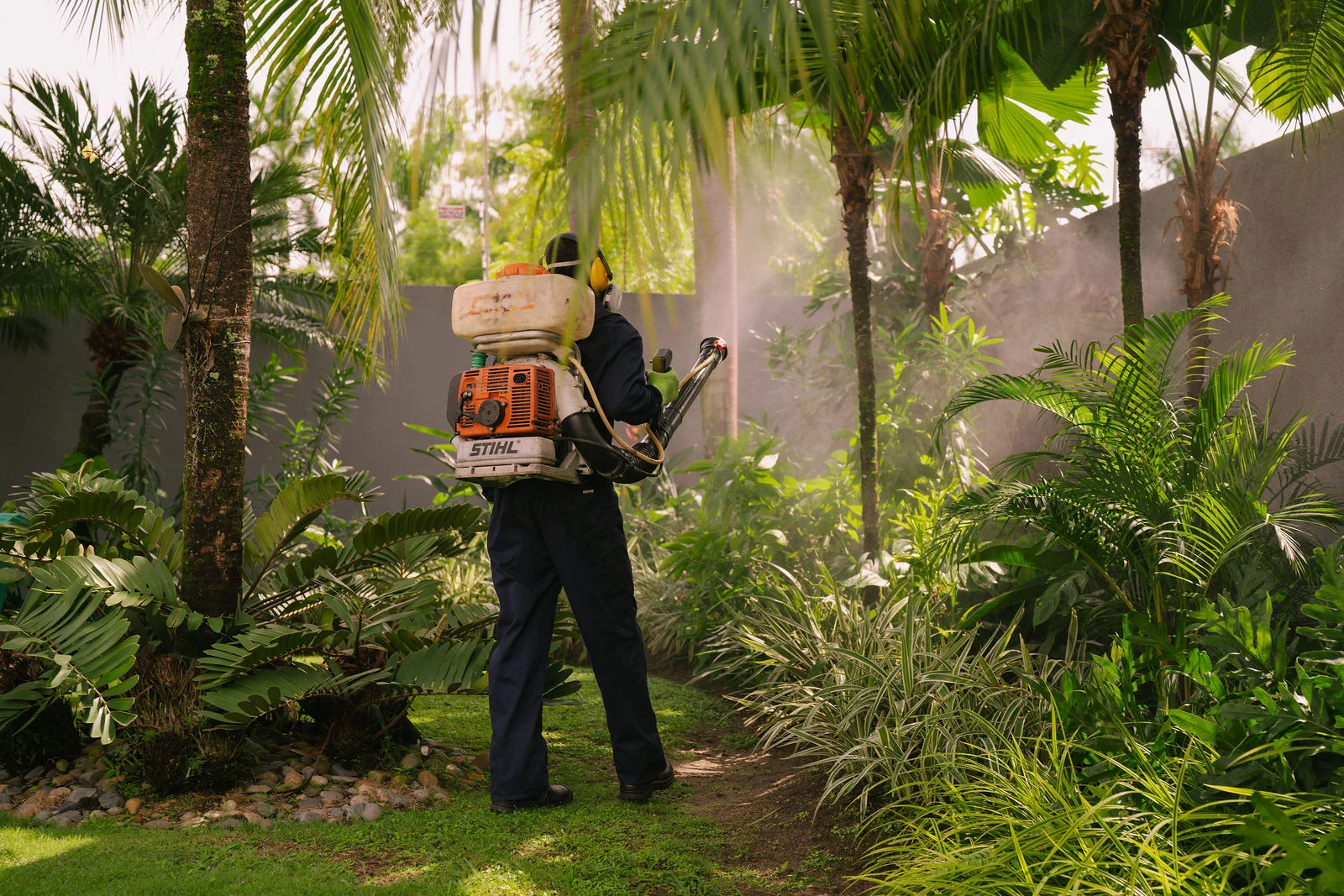 Pest Control Background